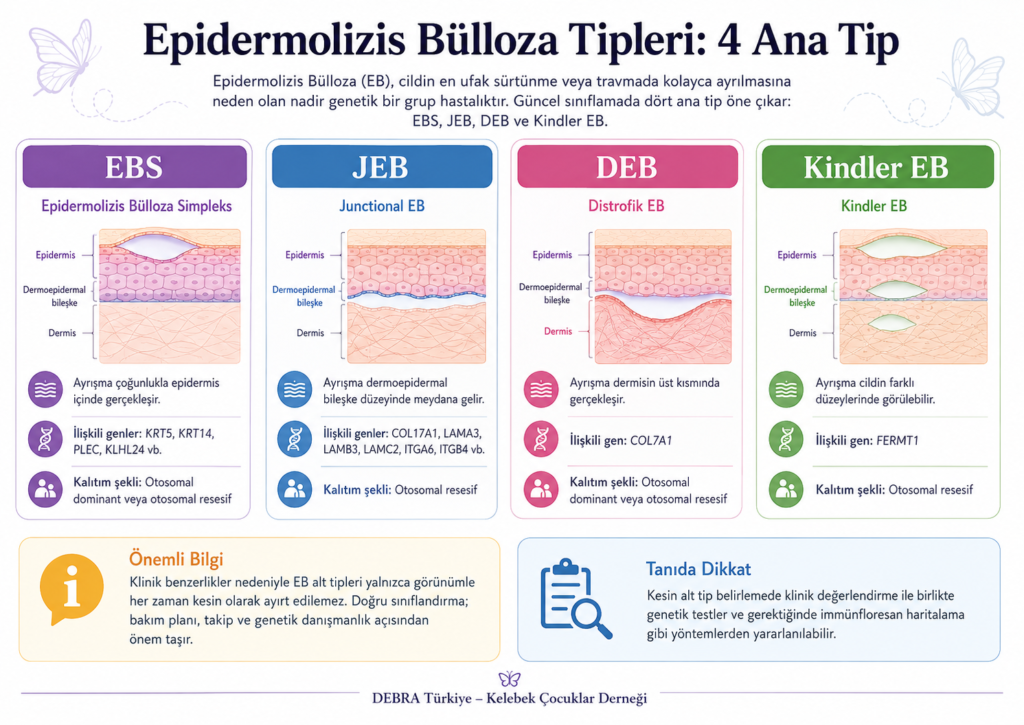 Epidermolizis Bülloza Tipleri